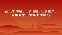 在以學鑄魂、以學增智、以學正風、以學促干上下功夫見實效